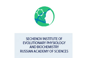 Sechenov Institute of Evolutionary Physiology and Biochemistry Russian Academy of Sciences