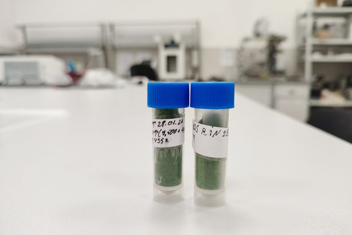 SPbPU scientists managed to obtain biomass with a high content of carotenoids from the microalgae Chlorella