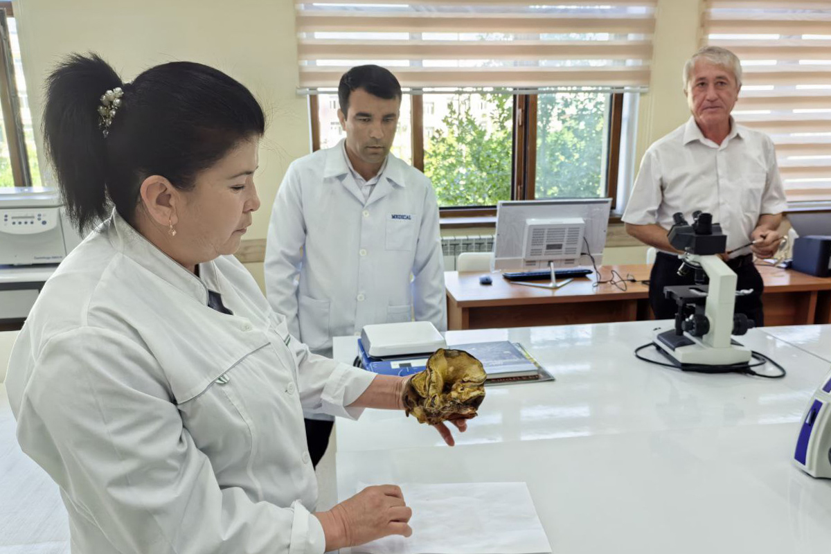 Jamila Sherkulova presented the results of a unique project on research and cultivation of mushrooms Jamila Sherkulova presented the results of a unique project on research and cultivation of mushrooms