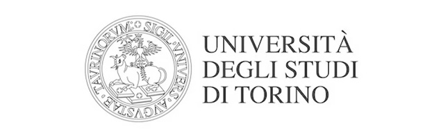 University of Turin 