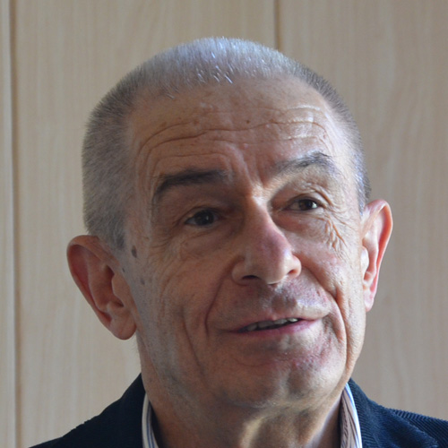 Professor Vladimir M. Mostepanenko