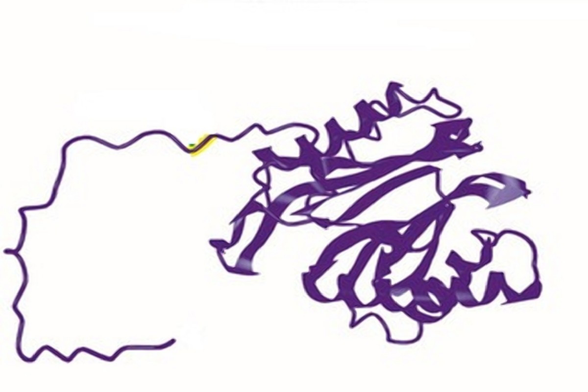 Post-Translational Modifications of Extracellular Proteasome