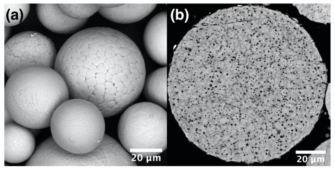 SEM images of the mechanically alloyed plasma spheroidized (MAPS) powder showing (a) surface morphology and (b) cross-section of a particle