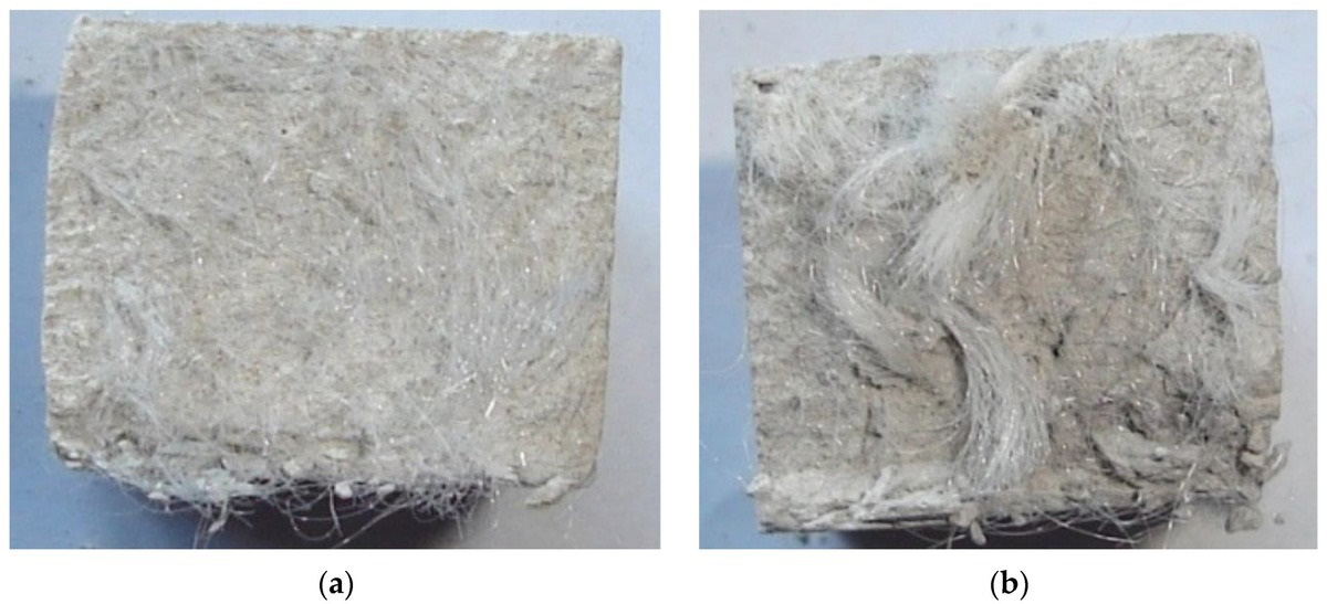 Uniform (a) and uneven (b) distribution of polyamide fiber in hardened GCB-FA specimens 