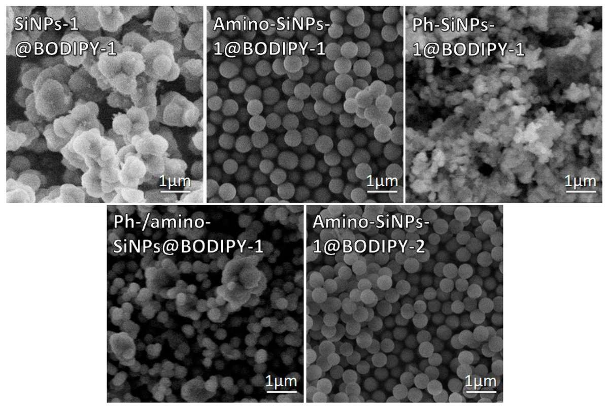 SEM images of silica-based materials obtained by varying sol-gel conditions and organosilanes 