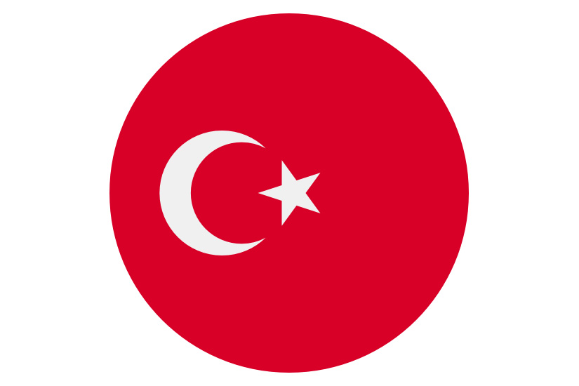 Türkçe 