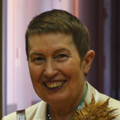 Professor Galina L. Klimchitskaya