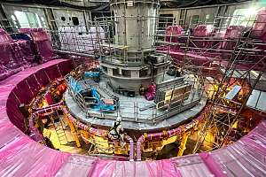 For the first time in the world, St. Petersburg scientists have localized Alfven oscillations in the plasma of a spherical tokamak