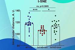 Artificial intelligence and neural manifolds: a new approach to the study of Alzheimer's disease in a mouse model