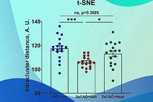 Artificial intelligence and neural manifolds: a new approach to the study of Alzheimer's disease in a mouse model