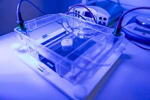 Anti-cancer breakthrough: original compound could change disease treatment
